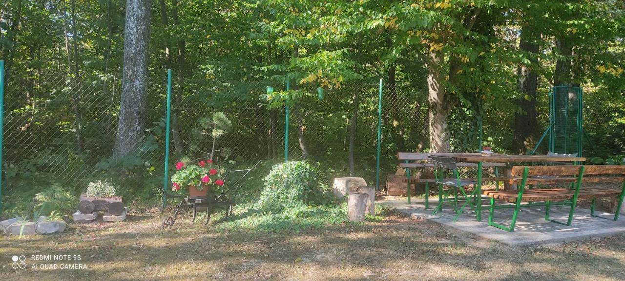 Holiday Home Nina Petrinja 외부 사진
